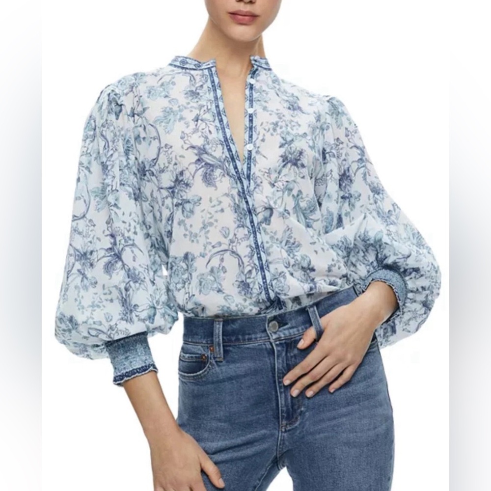 Beautiful Alice and Olivia Blouson Sleeve Top, size M